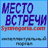 synnegoria.com