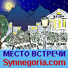 synnegoria.com