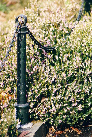 NEW-YORK PHOTO