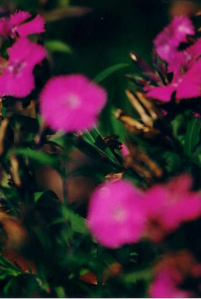 NEW-YORK PHOTO
