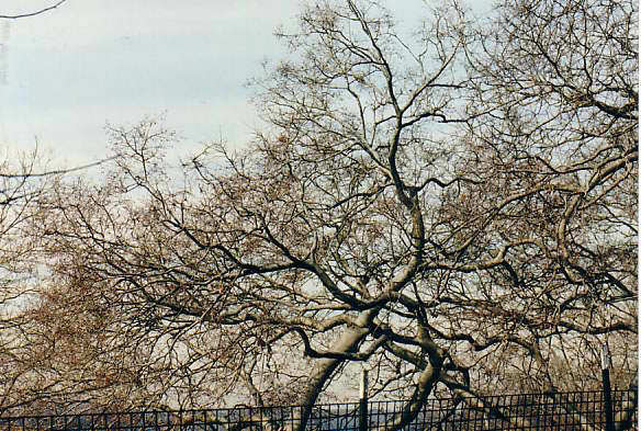 NEW-YORK PHOTO