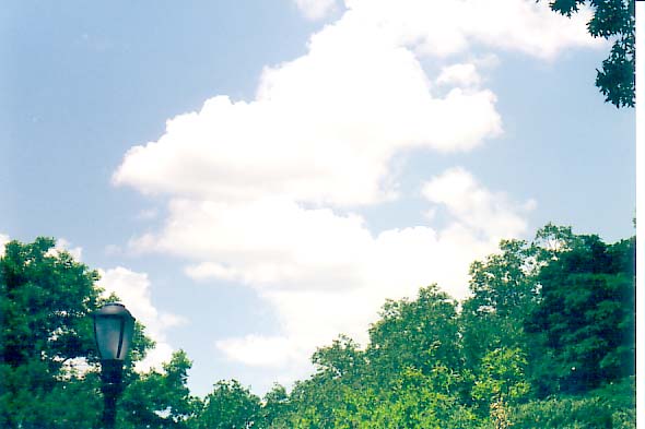 NEW-YORK PHOTO