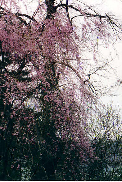 NEW-YORK PHOTO