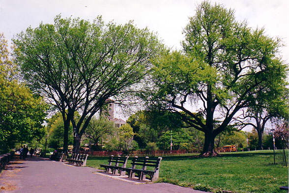 NEW-YORK PHOTO