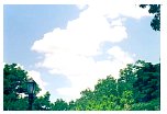 2001june14.html