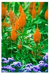 2001sent_33.html