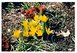 2002mart_06.html
