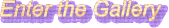 enter the gallery